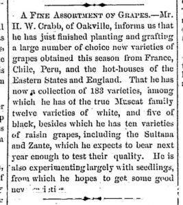 Newspaper article discussing H.W. Crabb informing a reporter that he had just finished up grafting a variety of exotic grapes from all over the world - 1