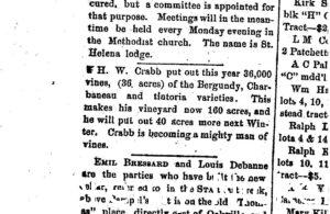 Newspaper article discussing how H.W. Crabb put out this year 36 acres of Bergundy, Charbaneau amd tintoria varieties