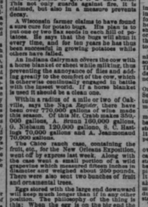 Newspaper article discussing gallons of wine produced in the Napa region